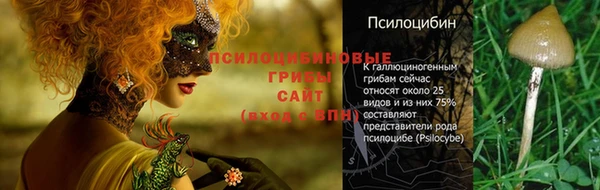 spice Вязники