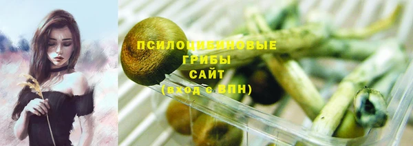 дживик Тайга