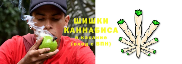 прущий лед Гусев