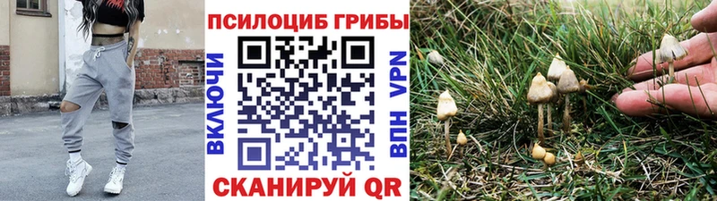 Галлюциногенные грибы Psilocybine cubensis  Ефремов 